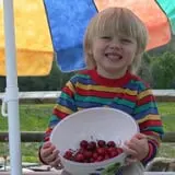 Hicks Orchard photo