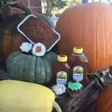 Judd Pumpkin Patch photo