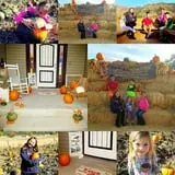 Judd Pumpkin Patch photo