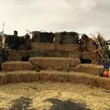 Judd Pumpkin Patch photo