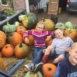 Judd Pumpkin Patch photo