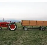 Judd Pumpkin Patch photo