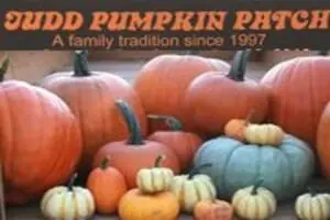 Judd Pumpkin Patch