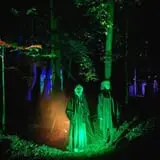 Harvest Fair After Dark
