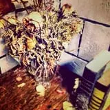 13 Haunted Nights at Jiminy photo