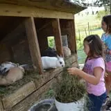 Hull-O Farms photo