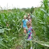 Hull-O Farms photo
