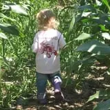 Hull-O Farms photo