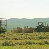 Hull-O Farms photo
