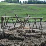 Hull-O Farms photo