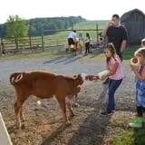 Hull-O Farms photo