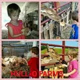 Hull-O Farms photo