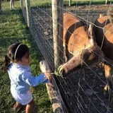 Hull-O Farms photo