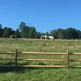 Hull-O Farms photo