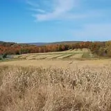 Hull-O Farms photo