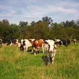 Hull-O Farms photo