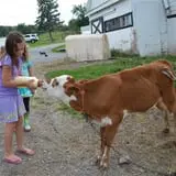 Hull-O Farms photo