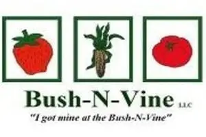 Bush-N-Vine Farm Fall Fun