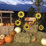Fiddlesticks Farms photo