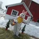 The Sunny Acres Farm photo