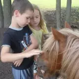 The Sunny Acres Farm photo