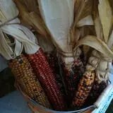 The Sunny Acres Farm photo