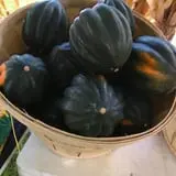 The Sunny Acres Farm photo