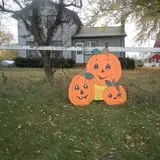 The Sunny Acres Farm photo