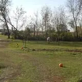 The Sunny Acres Farm photo