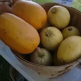 The Sunny Acres Farm photo