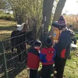 The Sunny Acres Farm photo