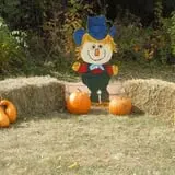 The Sunny Acres Farm photo
