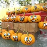 The Sunny Acres Farm photo