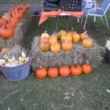 The Sunny Acres Farm photo