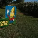 The Sunny Acres Farm photo
