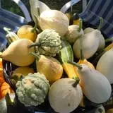 The Sunny Acres Farm photo