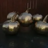 The Sunny Acres Farm photo