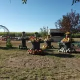 The Scarecrow Patch photo