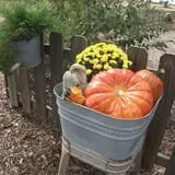 The Scarecrow Patch photo