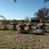 The Scarecrow Patch photo