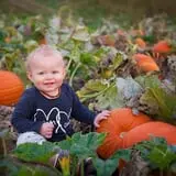 The Scarecrow Patch photo