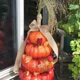 The Scarecrow Patch photo