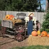 The Scarecrow Patch photo