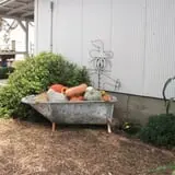 The Scarecrow Patch photo