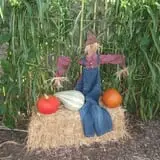 The Scarecrow Patch photo