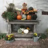 The Scarecrow Patch photo