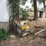 The Scarecrow Patch photo