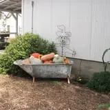 The Scarecrow Patch photo
