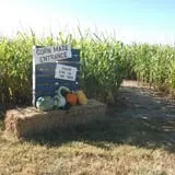 The Scarecrow Patch photo