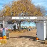 The Scarecrow Patch photo